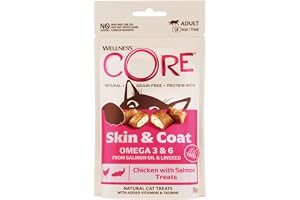 Wellness CORE Godis för hud och päls 50 g, kyckling och lax – kattsnacks, spannmålsfri, naturlig, allergivänlig, proteinrik