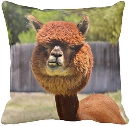 GraebnerSaleStore 18X 18inch Pastoral Style Cotton Linen Decorative Throw Pillow Cover Cushion Case Funny Alpaca H:709