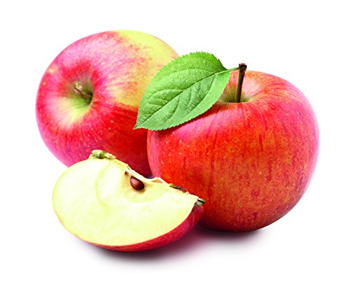 CASO SJW400 Design Entsafter, Slow Juicer für schonendes und sanftes entsaften von Obst, Gemüse und Kräutern, BPA frei - 9