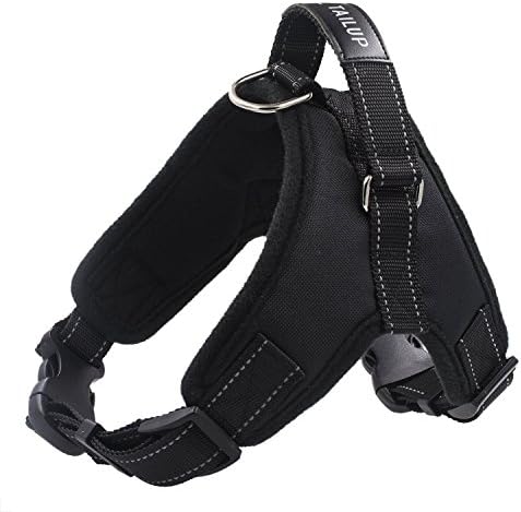 Aidle Pet Vest Harness , Adjustable Duarable Heavy Fabric Soft Padded Dog Vest Harness with Handle(S(chest:18-20"))
