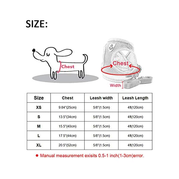 PTICA Imbracatura e guinzaglio per Cani da Compagnia Guinzaglio per Cani da Passeggio Guinzagli per addestramento al…