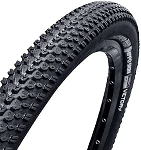 chaoyang victory 27.5