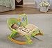 Fisher-Price Newborn-To-Toddler Portable Rocker, Lizards