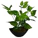 Thefancymart artificial Green Leaves plant with Boat shape PVC black Pot RS.375.00
