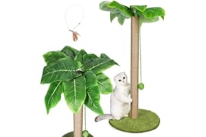 HEVOL Kratzbaum,85cm Kratzpsäulen für Katzenmit mit Premium Sisalseil,süßer Kratzbaum mit hängenden und federnden Bällen für kleine Innenkatzen,Hergeben 1 Katzenfedern-Stick