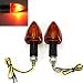 Produktbild 2 x Motorrad Blinker lights INDICATORS Stelzen kinderleicht Blinker Bulb Amber 12 V