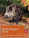 Image de Wildbrethygiene heute: Beurteilung | Versorgung | Rechtslage (BLV)