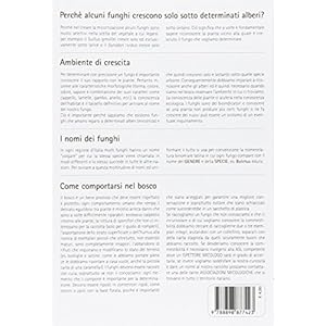 Funghi. Chiave di identificazione delle specie fungine presenti nel territorio italiano
