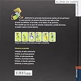 Image de Rita, el hada desordenada