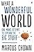 What a Wonderful World RS.412.00
