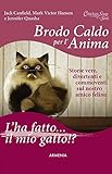 Brodo caldo per l'anima. L'ha fatto... il mio gatto!?