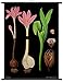 Produktbild Herbstzeitlose - Lehrtafel - Dekoposter - 85 cm x 120 cm auf Leinwand mit Holzstäben - Wanddekoration - Poster - Naturtafel