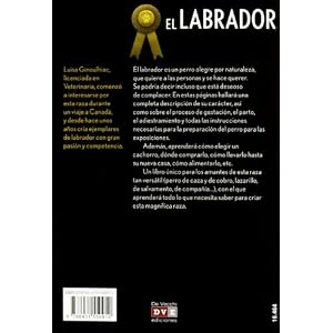 El labrador / The Labrador Retriever
