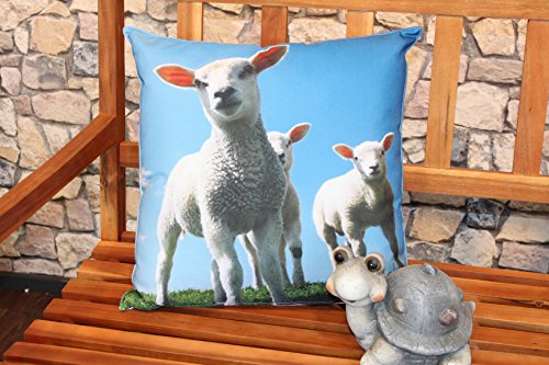 Wasserabweisend , Fleckabweisend , Schmutzabweisend - Outdoor - Kissen / Sitzkissen / Sofakissen mit Lotus - Effekt für Haus, Camping und Garten - perfekt für Lounge - Möbel , Gartensessel , Hollywood - Schaukeln , Sessel und Sofas im Wohnzimmer oder Wintergarten - Größe 45 cm x 45 cm x 16 cm - knitterfrei - Bezug mit Reissverschluß maschinenwaschbar - schmutzabweisend - praktisch - hier die Farbe / das Motiv : (3 Schafe vor blauem Himmel) Wasserabweisend , Fleckabweisend , Schmutzabweisend - Outdoor - Kissen / Sitzkissen / Sofakissen mit Lotus - Effekt für Haus, Camping und Garten - perfekt für Lounge - Möbel , Gartensessel , Hollywood - Schaukeln , Sessel und Sofas im Wohnzimmer oder Wintergarten - Größe 45 cm x 45 cm x 16 cm - knitterfrei - Bezug mit Reissverschluß maschinenwaschbar - schmutzabweisend - praktisch - hier die Farbe / das Motiv : (3 Schafe vor blauem Himmel)