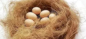 Generic Coconut Fiber Using for Garden and Birds Nest (1kg)