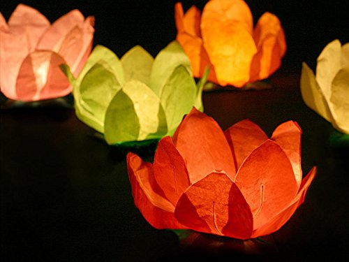 Schwimmlaterne XXL schwimmende Laterne – Blüte Wasserlaterne Hochzeit 6 Stück von Haus der Herzen ® - 3