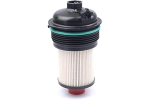 ROBUST CAR PARTS ROBUST Fuel Filter for Ford Transit Mk8 Transit Tourneo Custom 2.0 TDCI EcoBlue RWD FWD 2016 Onwards 2005485 GK21-9176-AA GK219176AA 2005485
