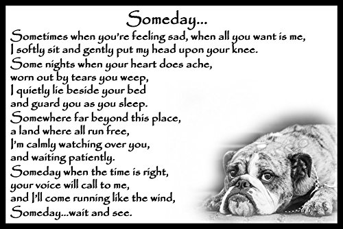 Bulldog-pet-dog-memorial-magnetic-sympathy-card-gift-Someday