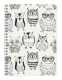 Ladytimer Ringbuch Owls 2019 - Taschenplaner / Taschenkalender A5 - Schülerkalender - Weekly - Ringbindung - 128 Seiten by 