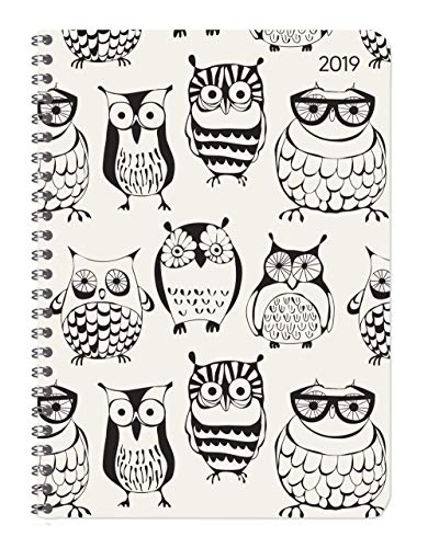 Ladytimer Ringbuch Owls 2019 - Taschenplaner / Taschenkalender A5 - Schülerkalender - Weekly - Ringbindung - 128 Seiten
