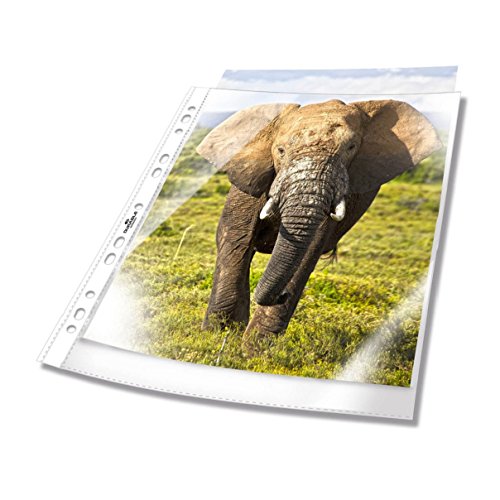 Durable - Funda multitaladro tama o A4 vertical con apertura superior y
perforaci n universal 100 unidades