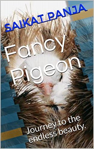 Fancy Pigeon: Journey to the endless beauty.