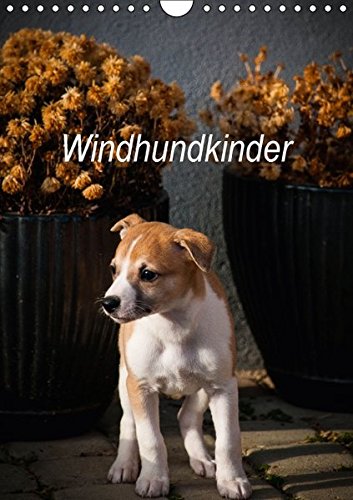 Windhundkinder (Wandkalender 2017 DIN A4 hoch): Whippetwelpen, die sie verzaubern werden! (Monatskalender, 14 Seiten) (CALVENDO Tiere)