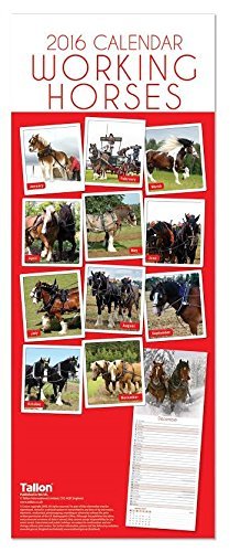 Download 2018 Slim Month To View Spiral Bound Horse Photo Wall Calendar - Working Horses