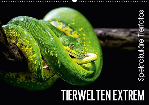 Tierwelten Extrem - Spektakuläre Tierfotos (Wandkalender 2017 DIN A2 quer): Der Tierkalender der Lust auf den nächsten Zoobesuch macht. (Monatskalender, 14 Seiten ) (CALVENDO Tiere)