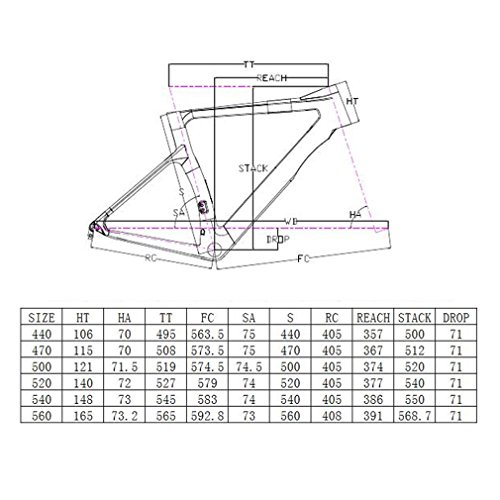 SAVA Phantom 2.0 700C Kohlefaser Rennrad SHIMANO Ultegra 6800 22 Speed Group Set mit HUTCHINSON 25C Reifen und Fizik Sattel - 3