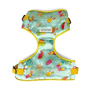 That Dog In Tuxedo Beach Vibes Dog Body Harness with Air Mesh (Turquoise, Size S)