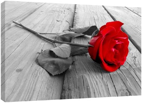 MOOL Large 32 x 22-inch Rose Black White Backdrop Canvas Wall Art Print Hand Stretched on a Wooden Frame with Giclee Waterproof Varnish Finish Ready to Hang, Red