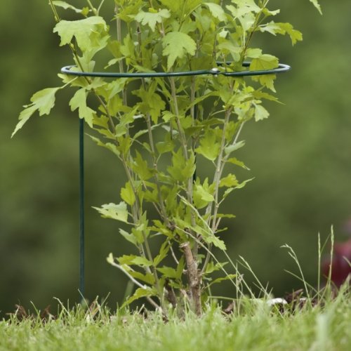 Windhager Staudenstütze, 2-teilig, 100 cm - 2