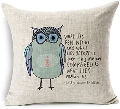 Yingke Funny OWL Cotton Linen Throw Pillow Case Shell Cushion Cover For Home Decorative