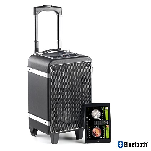 NGS Wild Funky - Altavoz port  til con Bluetooth