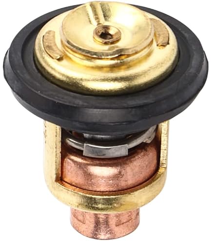 Termostato E Guarnizione Motore Fuoribordo HEIBTENY - Per Honda Mercury 25-60PS 4 Tempi