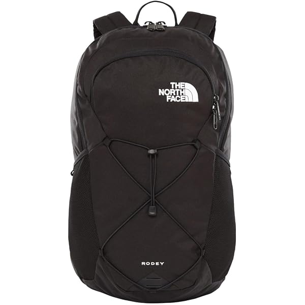 THE NORTH FACE 68 Daypack 21 L – Leisure Backpack: Buy Online at Best Price in UAE