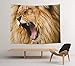 Produktbild BAOQIN 60 * 80 Inches Unique Design Wonderful Prints The Lazy Lion Yawning Wall Hanging Tapestry Bohemian Mandala Hippie Tapestries for Bedroom Living Room Dorm (Sleepy Lion)