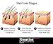 Natural Women's Hair Growth Supplement | Regrow Your Own Hair Without Side Effects, Regain A Youthful Look & Get Back Your Confidence | Proven Synergy Blend Including Vitamins E & D3 | For Treatment Of Alopecia, Hair Loss, Female Pattern Baldness, Receding & Thinning | 100% Money Back Guarantee