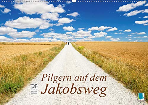 Pilgern auf dem Jakobsweg (Wandkalender 2020 DIN A2 quer)