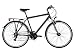 Produktbild KS Cycling Trekkingrad Herren 28'' Norfolk Bronze RH 53 cm Flachlenker
