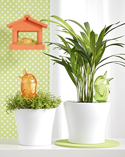 Scheurich Pflanzen-Accessoire Bördy M, Green Ø 11 cm, Höhe 20 cm - 2