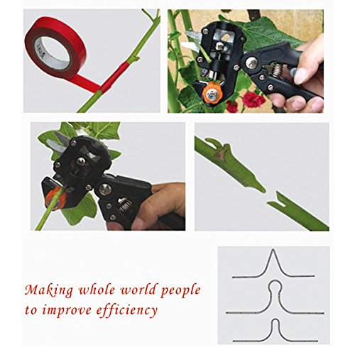 Veredelungsschere Gartenschere-AGPtek Professionelle Cutting Tool Astschere Rebschere Baumschere Blumenschere Holzschere hochbeanspruchbares Handwerkzeug für Ihre Gartenarbeit – Pfropfen Pruner mit 2 Ersatzmesser Pfropfen Band - 6