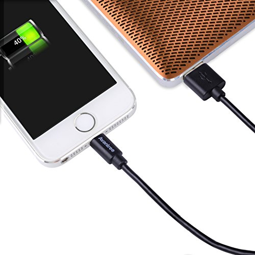 [Apple MFi Certified] Avantree 2 Pack Short Apple Lightning Cable 1ft for iPhone X, 8, 8 Plus, 7, 7 Plus, 6s, 6, 6 Plus, 5 iPod iPad, High Speed Data Sync and Charge Cable - Black