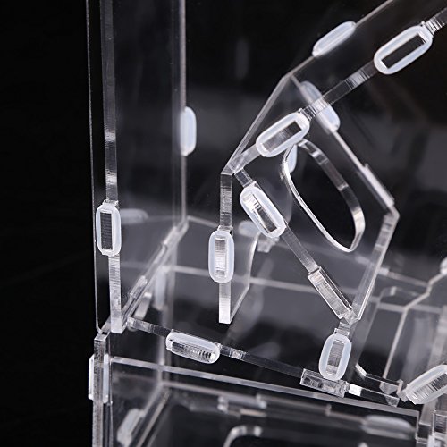 Comederos Autom  ticos para p  jaros Alimentador de p  jaros Acr  lico transparente Accesorios de jaula de loro