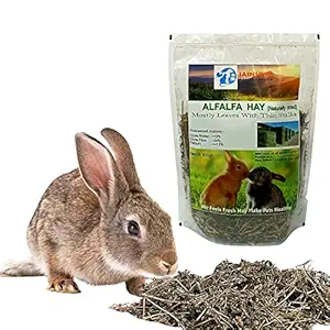 Jainsons Pet Products Alfalfa Hay 800g, Dried Natural Alfalfa Hay for Rabbits, Guinea Pigs, Chinchillas, and Ferrets - Protein and Fiber Rich Food