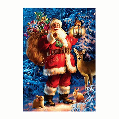 BZLine® 5D Stickerei Santa Claus Strass Geklebt DIY Diamant Malerei Cross Stich Decoration, 40* 30cm (B)