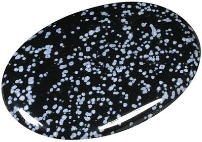 GeoFossilsSnowflake Obsidian Palm Stone