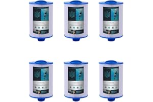 Alford & Lynch filtres de Spa, filtres de Spa, Remplacement pour Les filtres Unicel 6CH-940, Pleatco PWW50P3, PWW50-P3, Filbur FC-0359, Waterway Plastics 817-0050, 25252, 378902, 03FIL1400 (6)