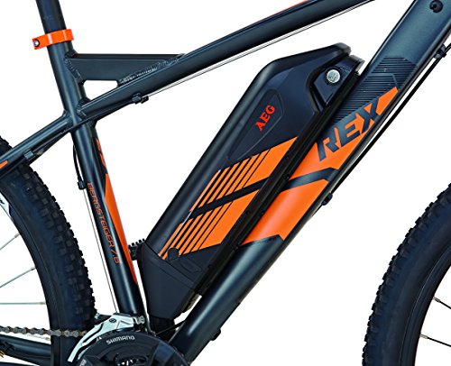 REX E-Bike Alu-MTB Twentyniner 29″ BERGSTEIGER 7.8 - 5